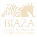 Associates Biaza