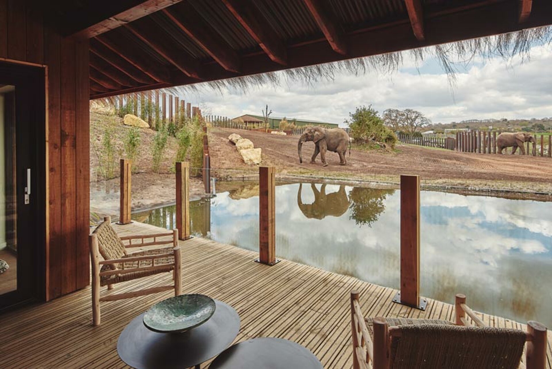 safari park west midlands lodges