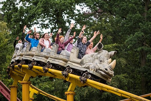 Rhino Rollercoaster