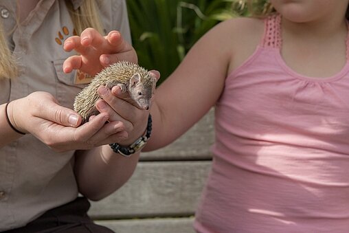 east mid safari park