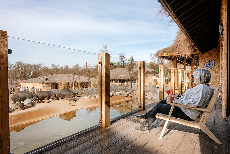 Hippo Safari Lodges
