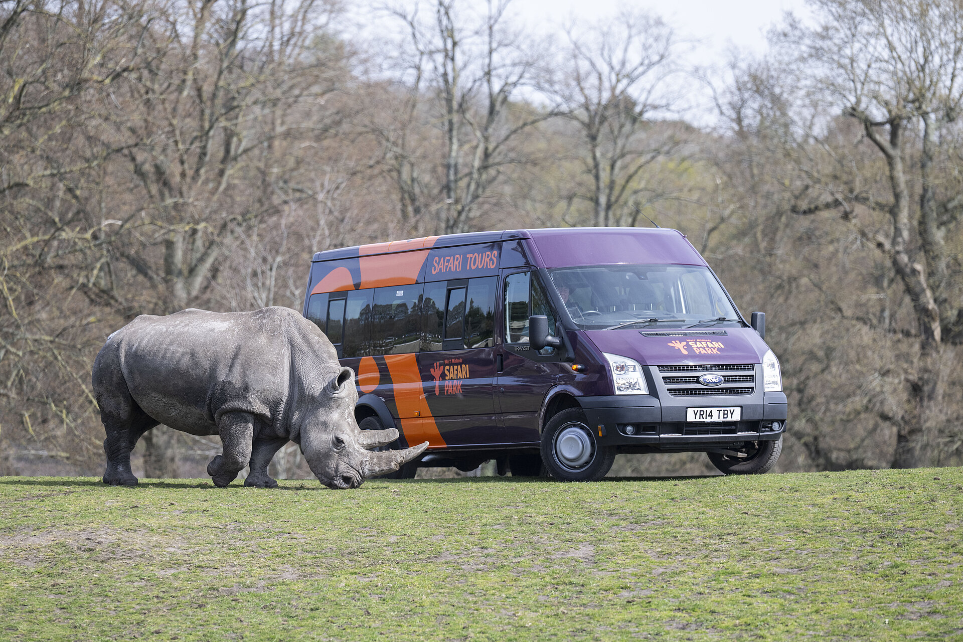 MINIBUS SAFARI TOURS