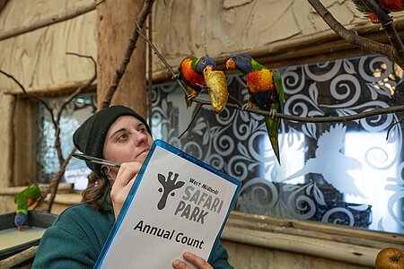 From Ants to Elephants: It's Annual Count Time