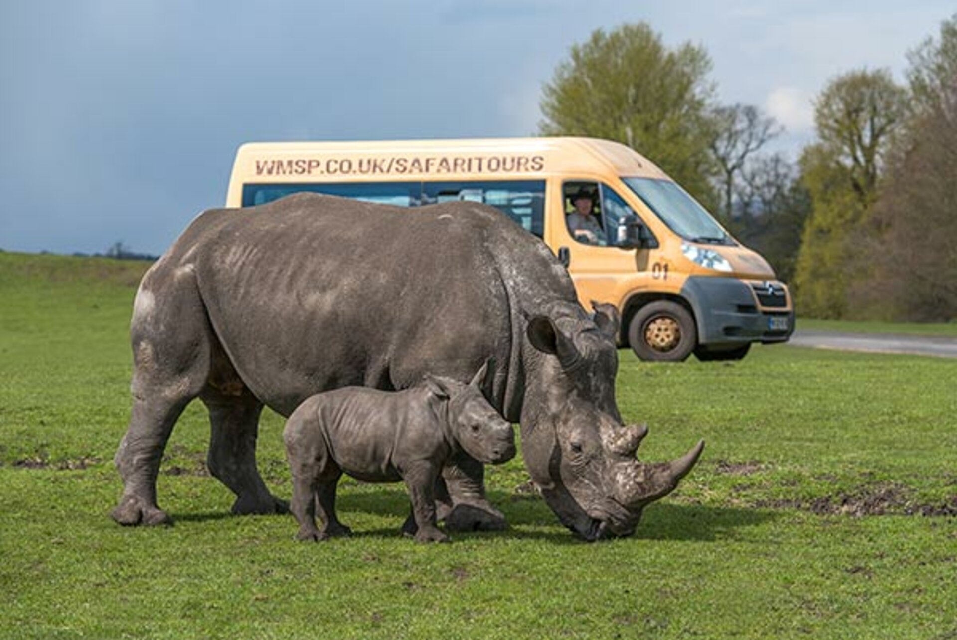 safari uk drive thru