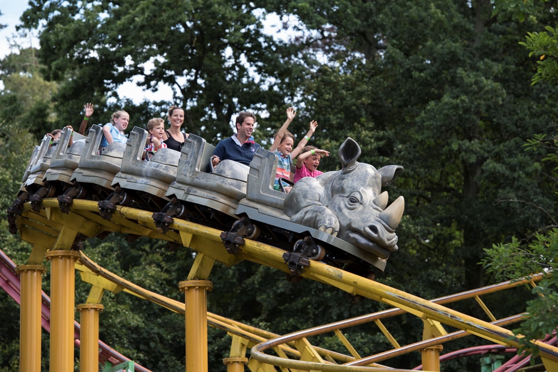 Rhino Rollercoaster