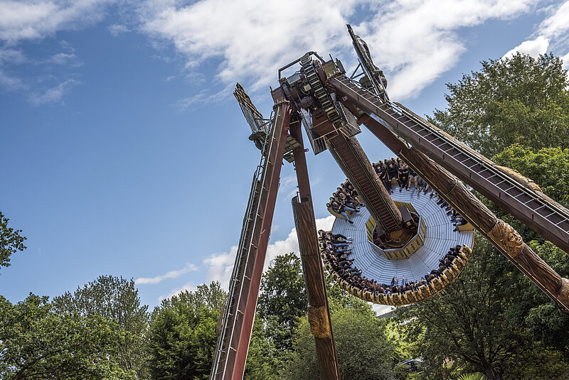 Admission & Ride Wristband