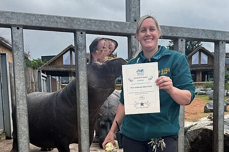 Quadruple Award Wins Celebrated