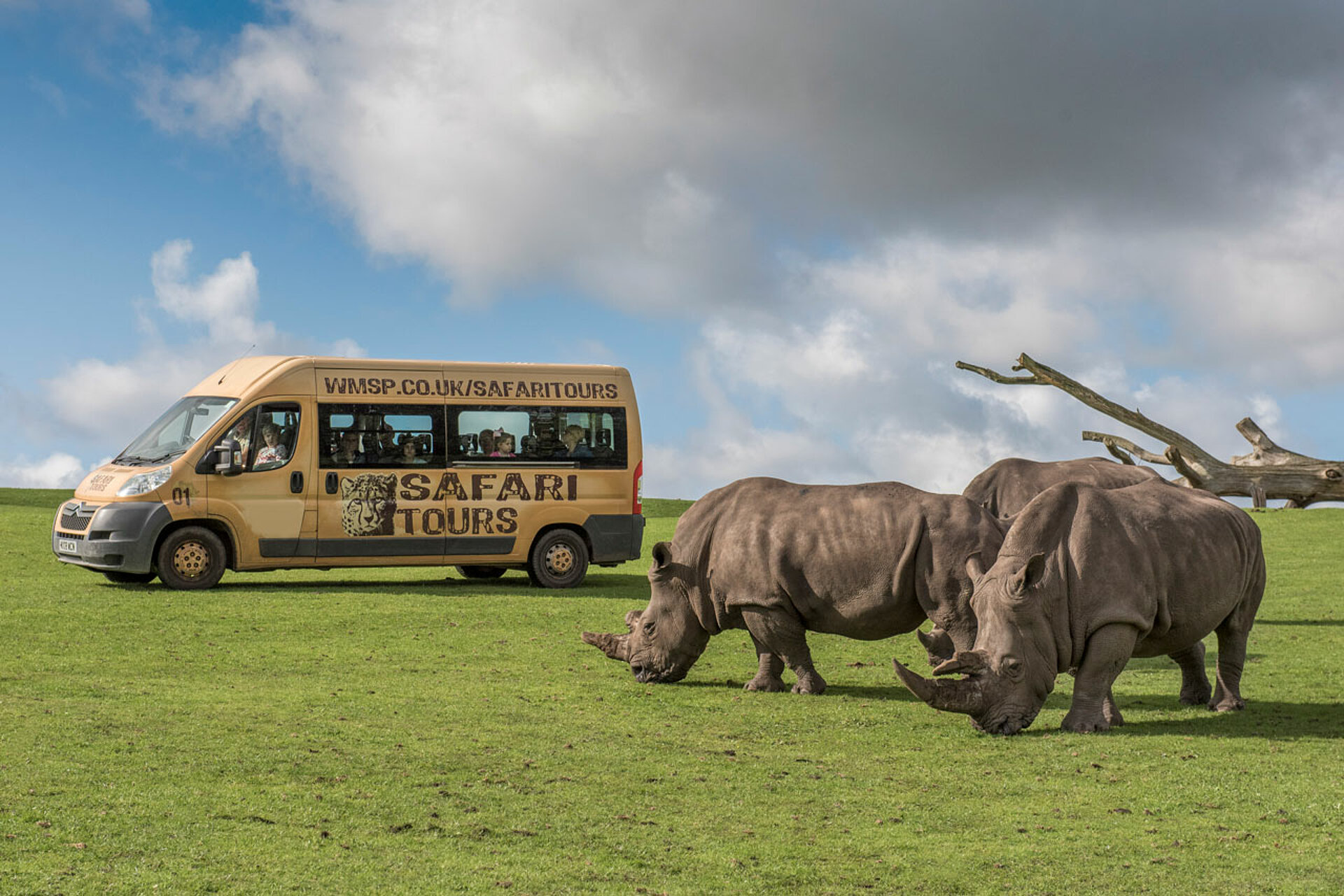 MINIBUS SAFARI TOURS