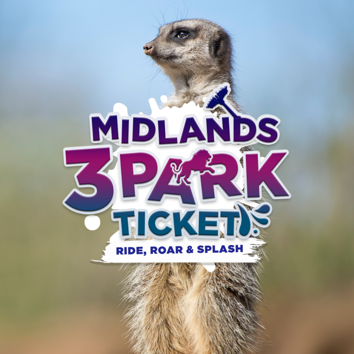 Midlands 3-Park Ticket