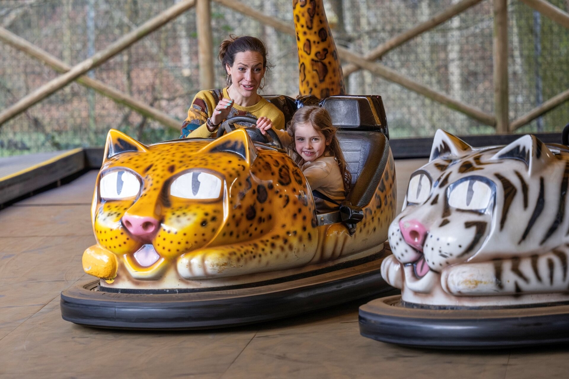 Jungle Cat Dodgems