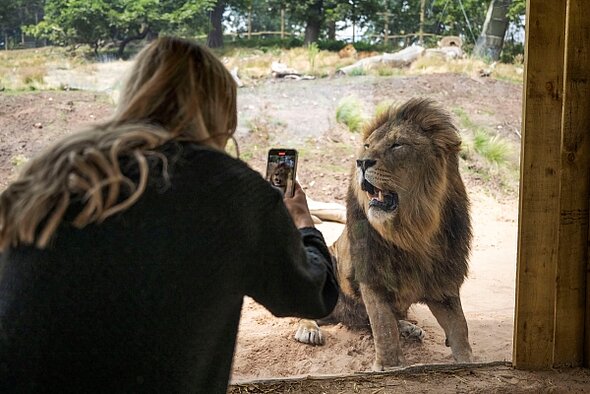 safari park uk with hotel