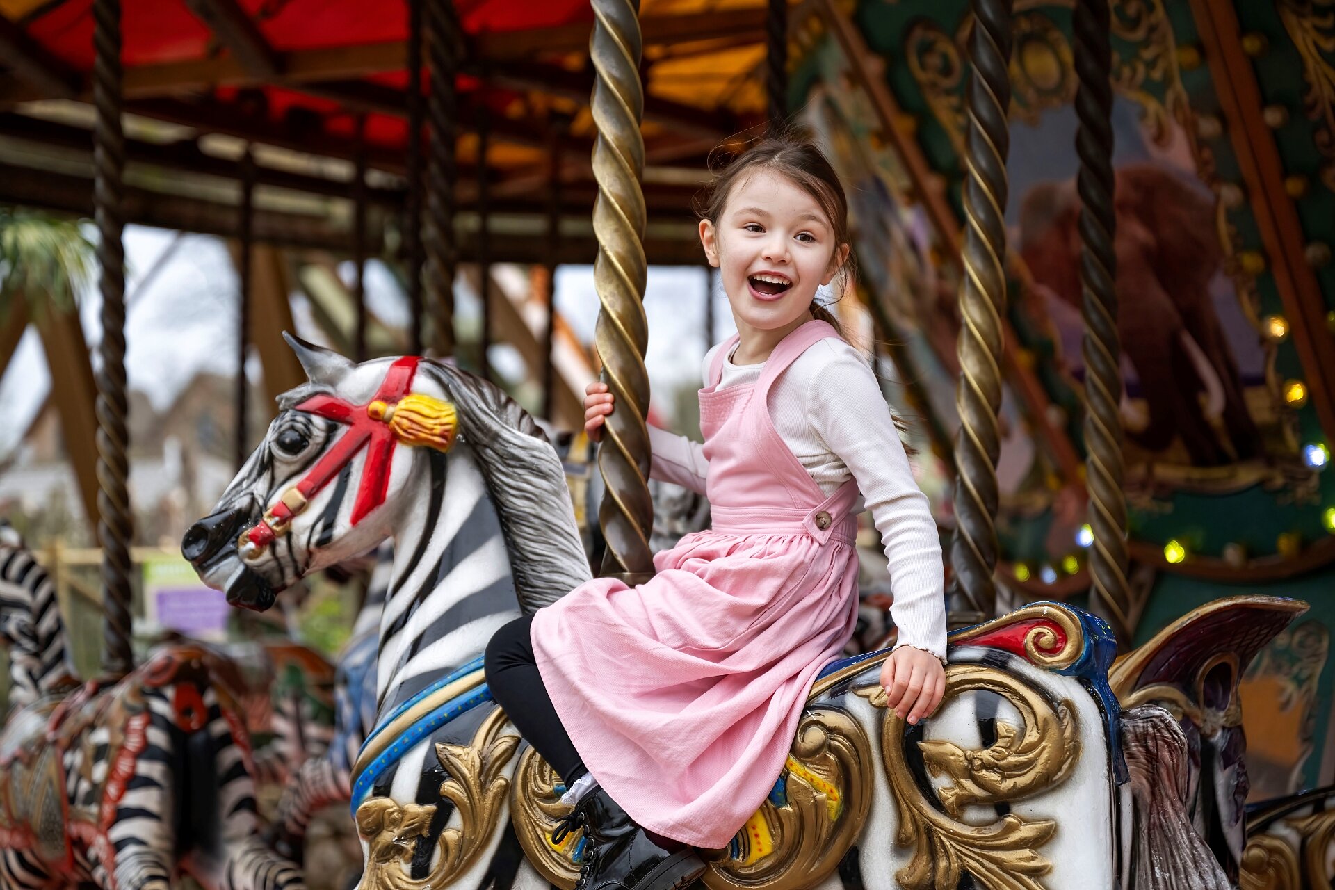 Congo Carousel