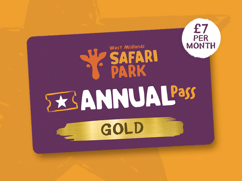 Gold Pass