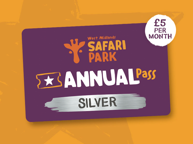Silver Pass