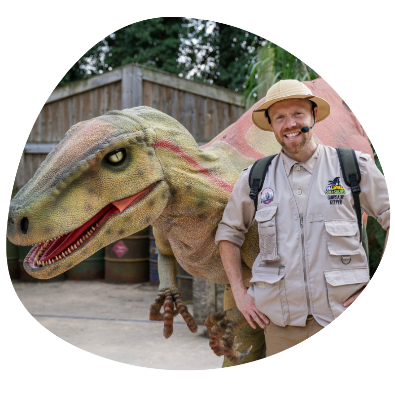 dinosaur with ranger at west midlands safari park
