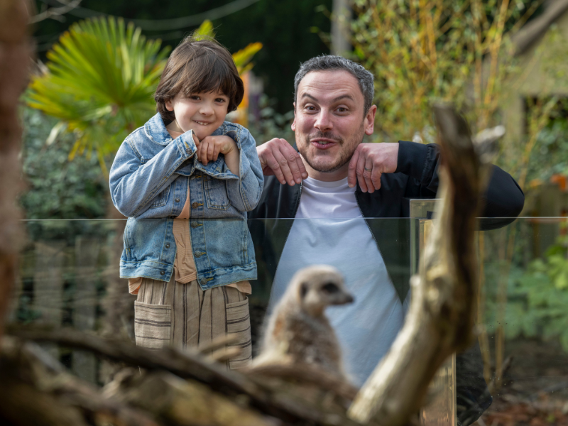 father and son looking at a meerkat on the Discovery Trail at West Midlands Safari Park