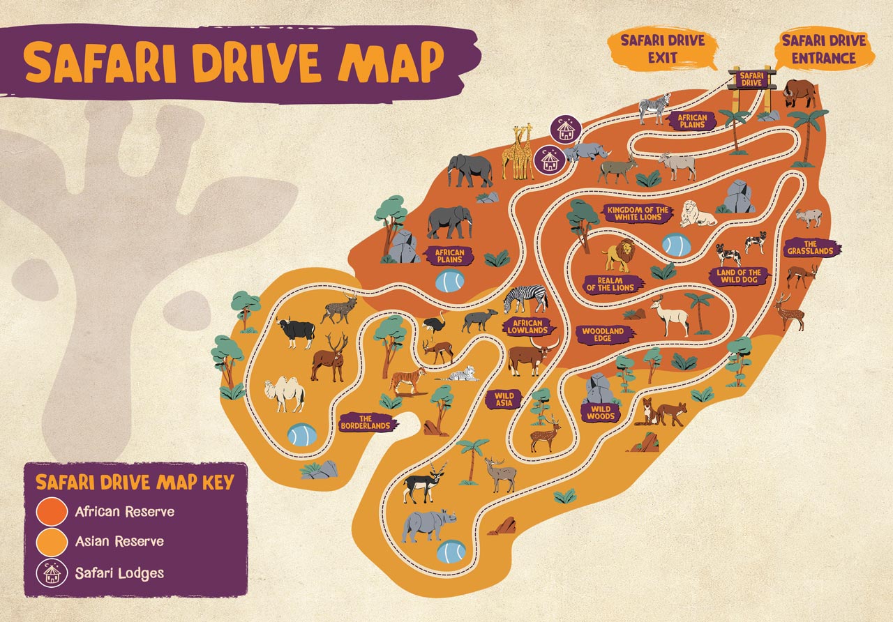 West Midlands Safari Park View The Map West Midlands Safari Park
