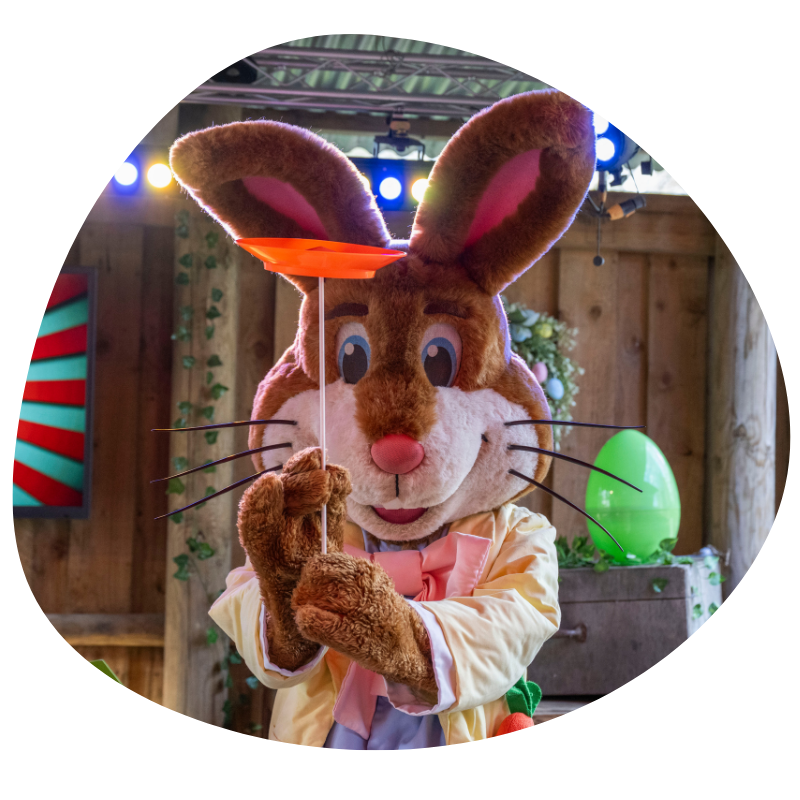 Bramble Bunny at Easter Eggstravaganza show spilling a plate during performance at West Midlands Safari Park