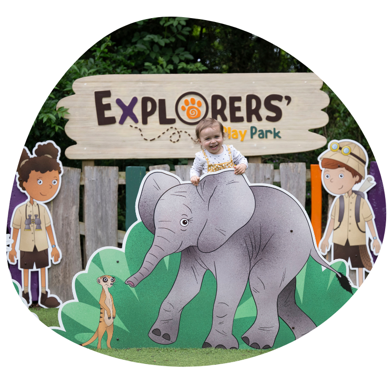 Toddler playing in the Explorers Play Park