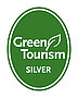 GT Generic Silver
